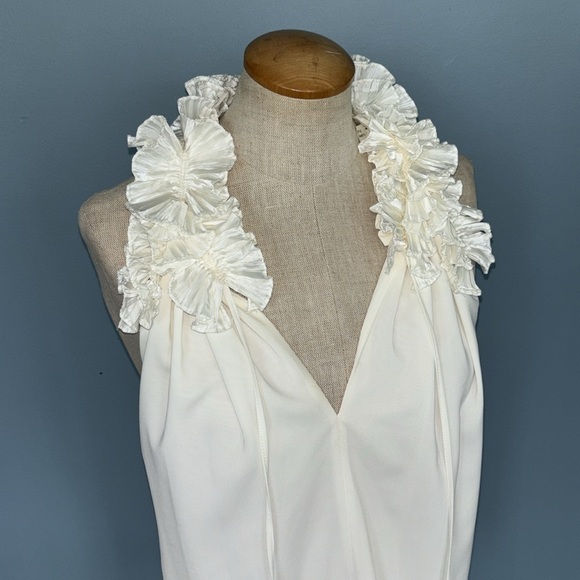 NWT Robbi & Nikki size small ivory ruffle top - Picture 2 of 7